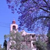  Guanajuato, Mexico 2009